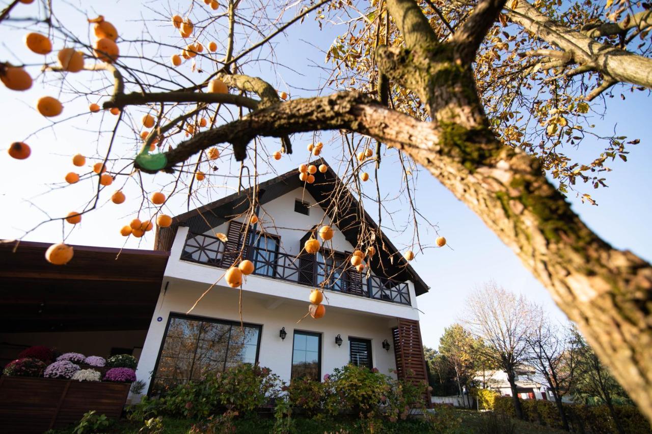 Villa Nora Butik Otel Ve Bungalov ブルサ エクステリア 写真