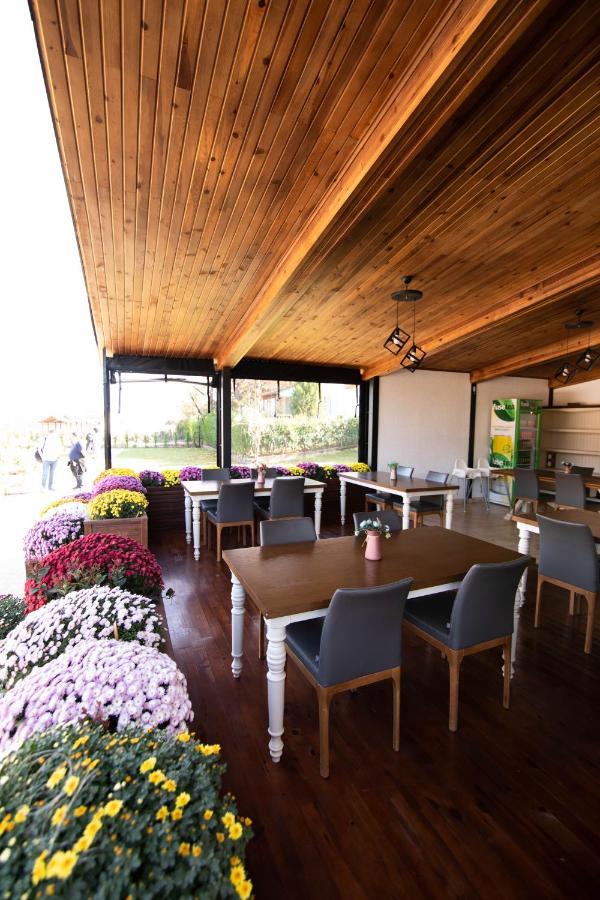Villa Nora Butik Otel Ve Bungalov ブルサ エクステリア 写真